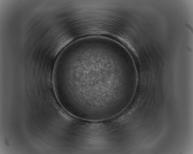 X0000093210889200710031418