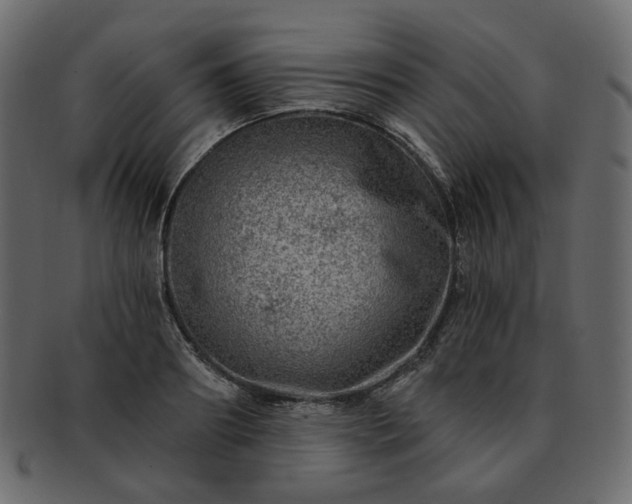 X0000093210890200710031418