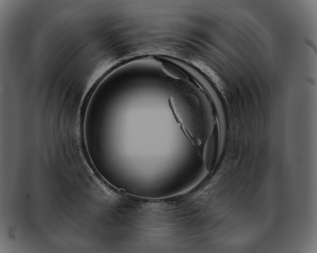 X0000093210894200710031418