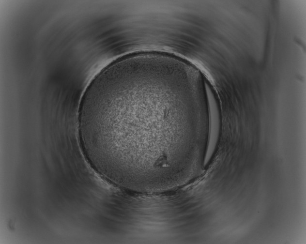 X0000093210895200710031418