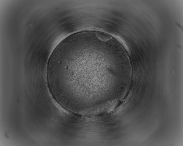 X0000093210903200710031418