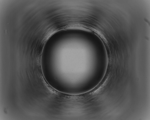 X0000093210905200710031418