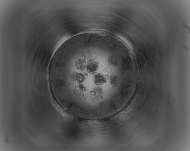 X0000093210907200710031418