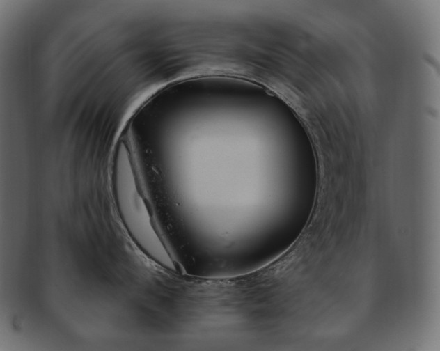 X0000093210912200710031418