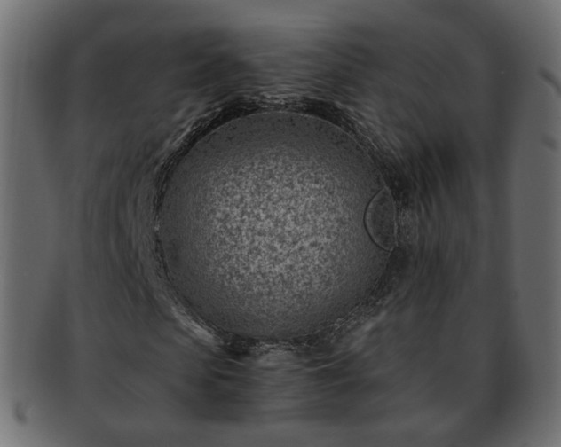 X0000093210913200710031417