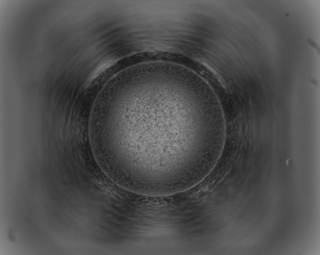 X0000093210919200710031417