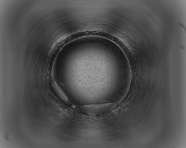 X0000093210920200710031417