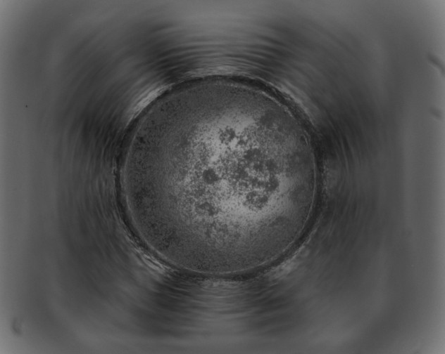 X0000093210921200710031417