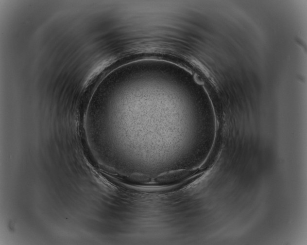 X0000093210922200710031417