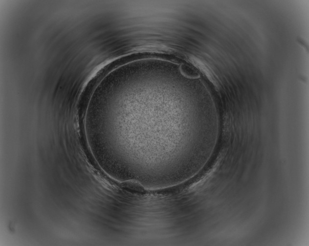 X0000093210923200710031417