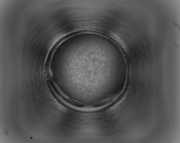 X0000093210924200710031417