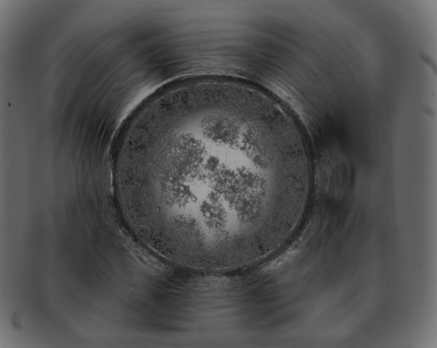 X0000093210925200710031417