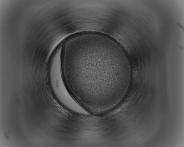 X0000093210926200710031417