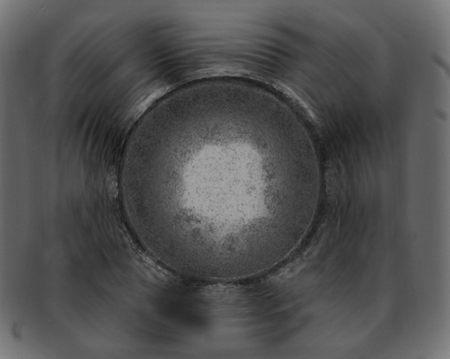 X0000093210929200710031417