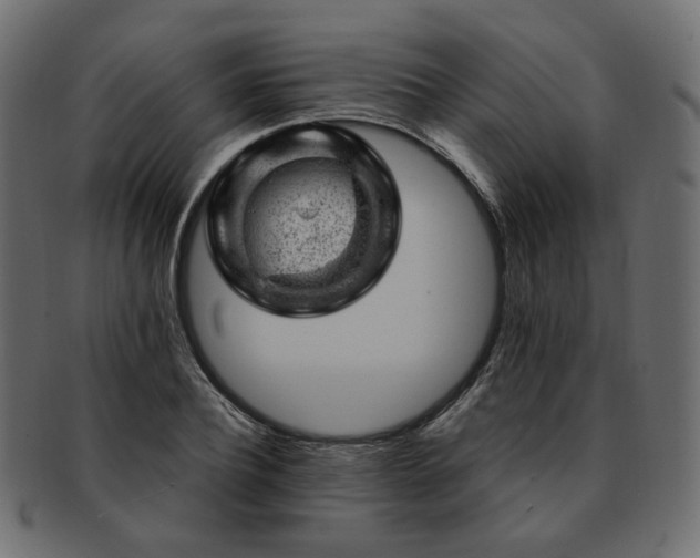 X0000093210932200710031418