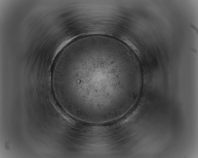 X0000093210933200710031418