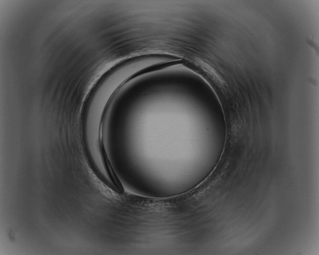 X0000093210934200710031418