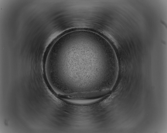 X0000093210935200710031418