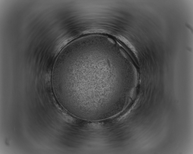 X0000093210937200710031418