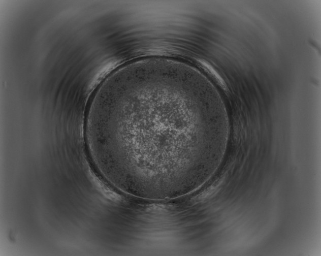 X0000093210938200710031418