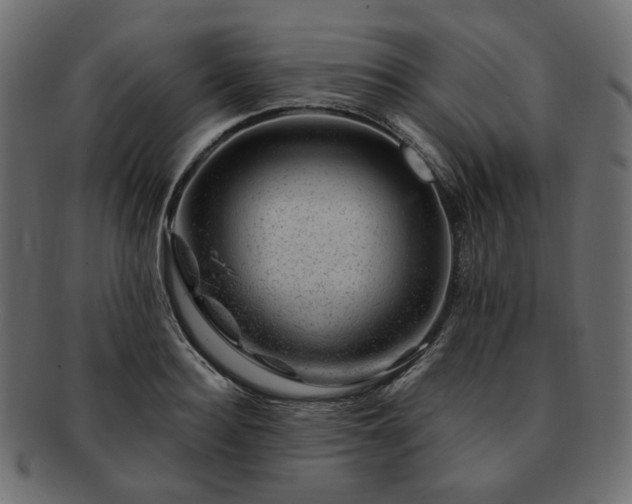 X0000093210940200710031418