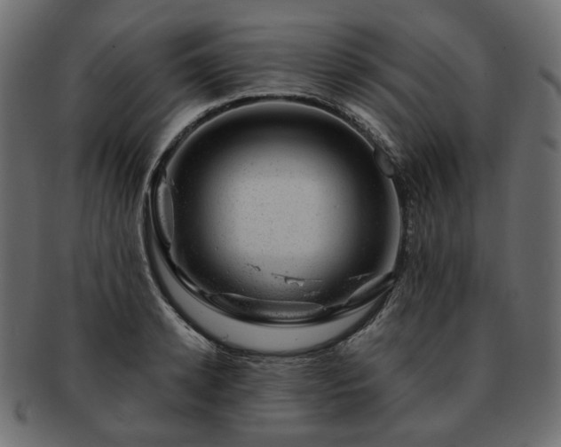 X0000093210942200710031418