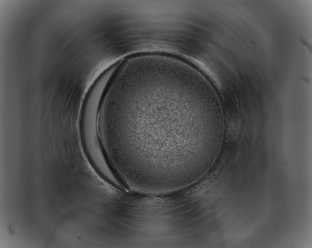 X0000093210943200710031418