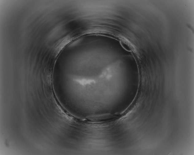 X0000093210945200710031418