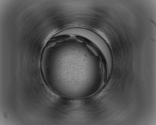 X0000093210946200710031418