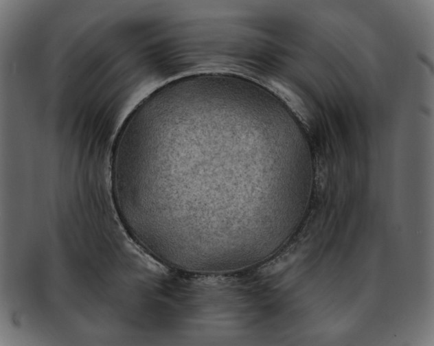 X0000093210950200710031418