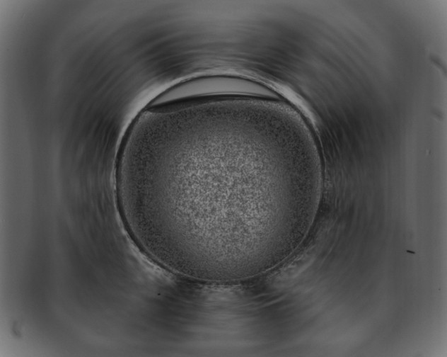 X0000093210951200710031418