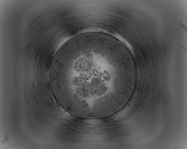 X0000093210953200710031418