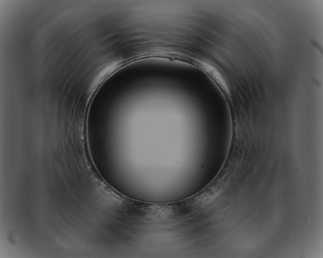 X0000093210954200710031418