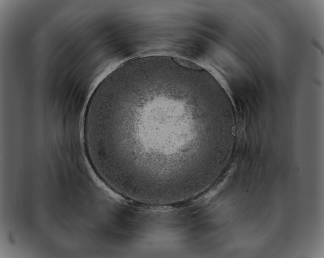 X0000093210957200710031418