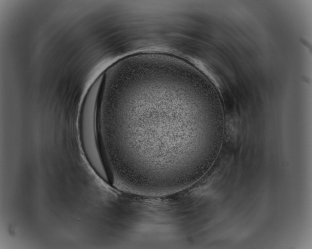 X0000093210959200710031418