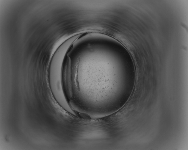 X0000093210960200710031418