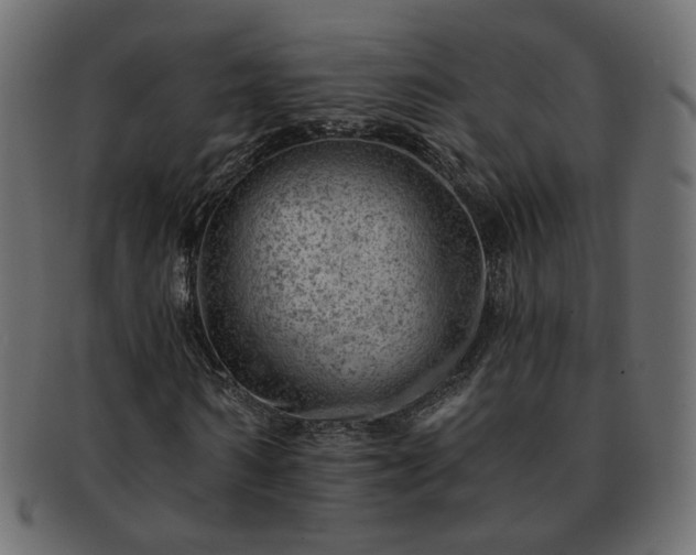 X0000093210962200710031417