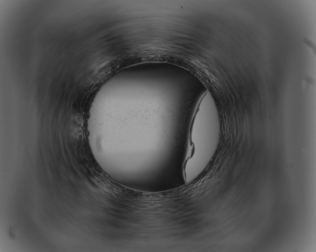 X0000093210964200710031417