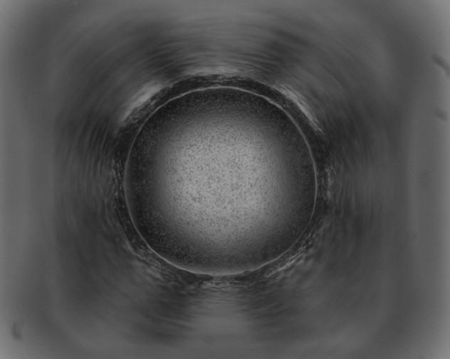 X0000093210967200710031417