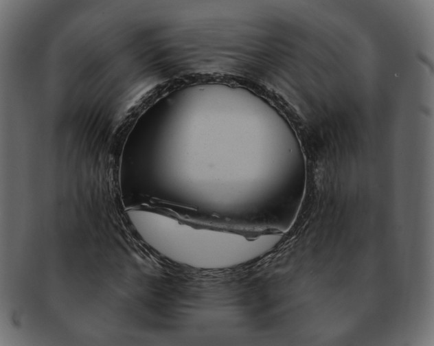 X0000093210968200710031417