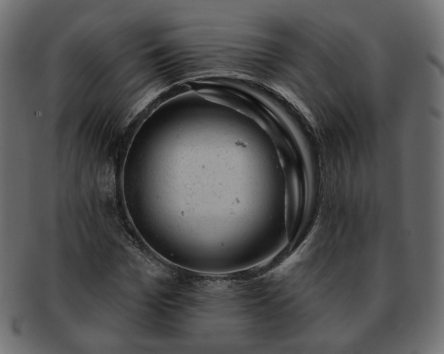 X0000093210969200710031417