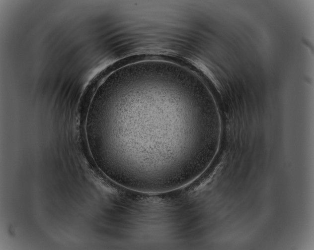 X0000093210971200710031417