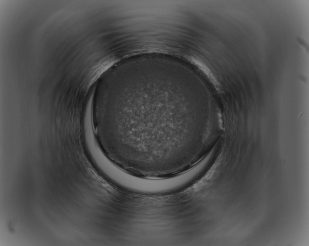 X0000093210977200710031417