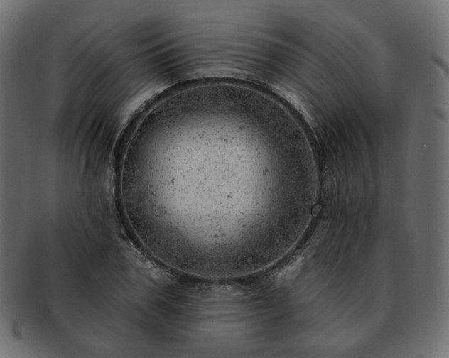 X0000093210979200710031417