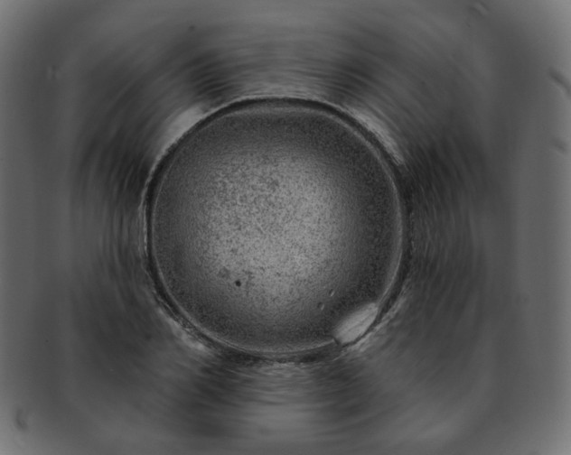 X0000093210982200710031417