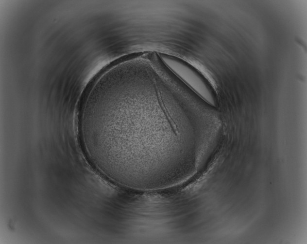 X0000093210983200710031417