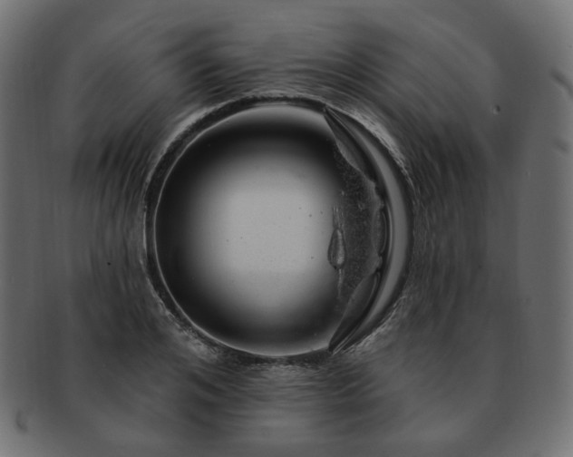 X0000093210984200710031417