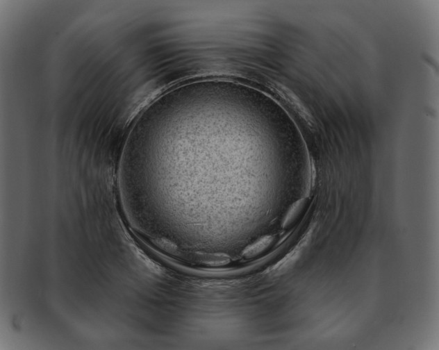 X0000093210985200710031417