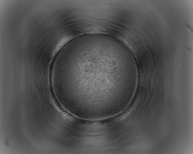 X0000093210986200710031417