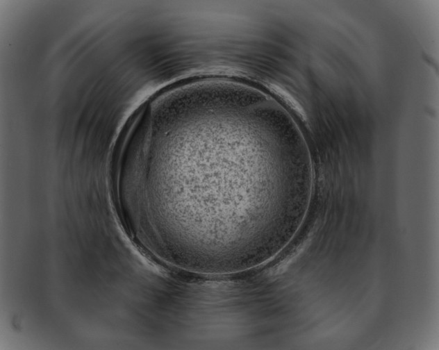 X0000093210989200710031417